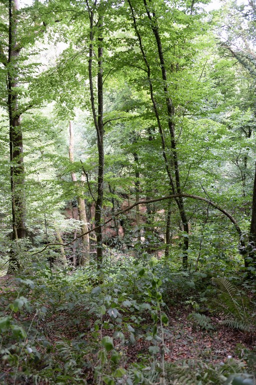 ../Images/Vakantie Luxemburg 042.jpg